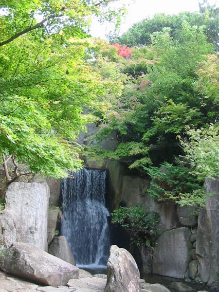 滝